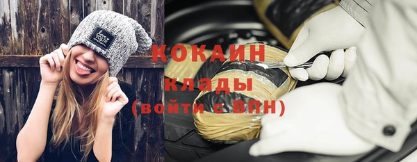 сатива Богданович