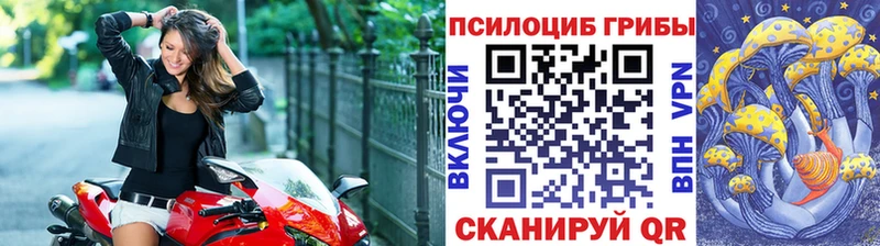 Галлюциногенные грибы Magic Shrooms Купить где Богородицк